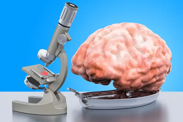 Trauma, Culpa e Perdão: Uma Visão Neuroconsciente da Cura Emocional