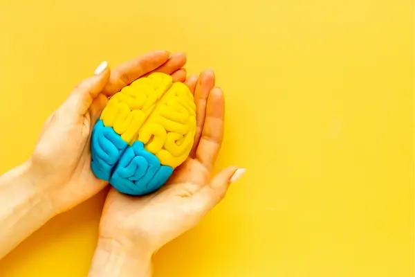 O Que É Neuroplasticidade? Entenda o Poder de Transformação do Cérebro